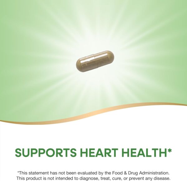 Nature's Way Olive Leaf Premium Extract in Pakistan