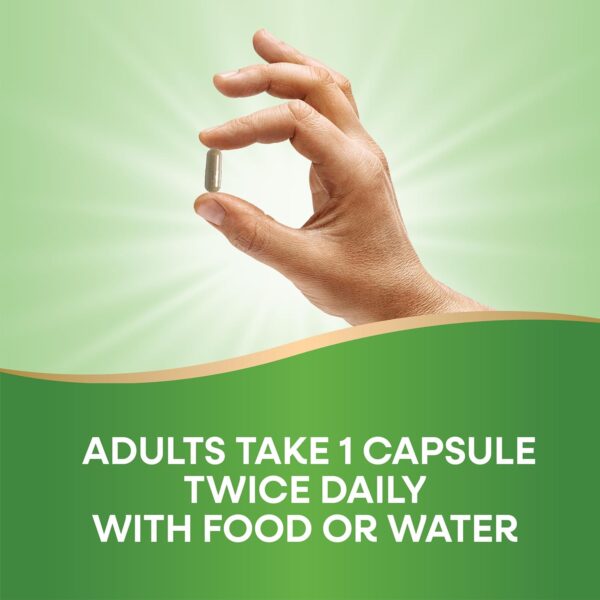 Nature's Way Olive Leaf Premium Extract in Pakistan