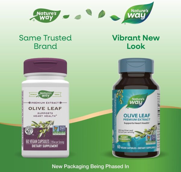 Nature's Way Olive Leaf Premium Extract in Pakistan