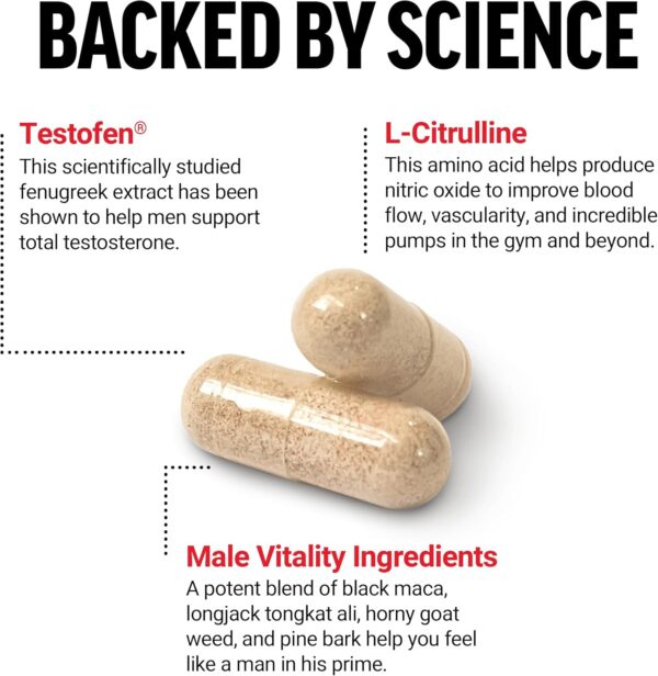Test X180 Alpha Testosterone Booster in Pakistan