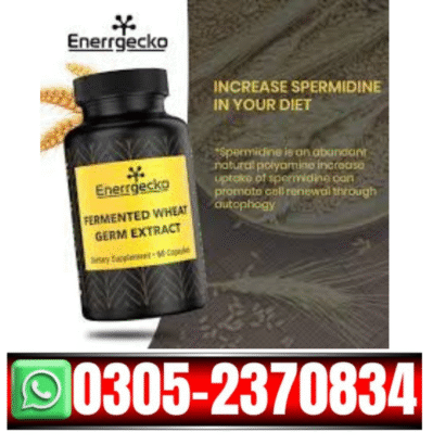 Fermented Wheat Germ Extract